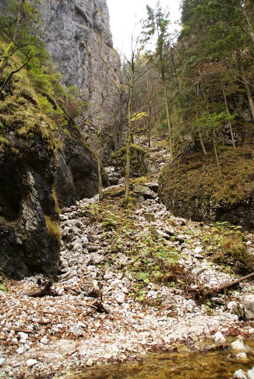 Hotel Petra Hrabušice エクステリア 写真